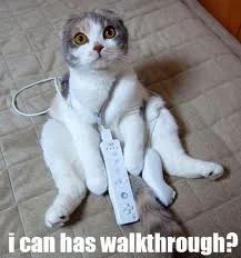 Walkthroughs Services