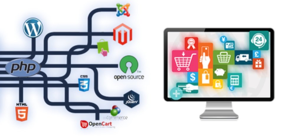 HTML5/CSS Responsive Portfolio Website Development Service