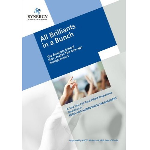 Conceptual Brochure Designing Services