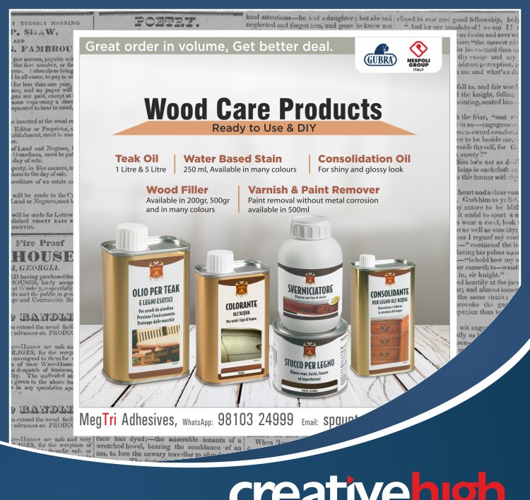 Newspaper Ad, Magazine Ad Designing Services