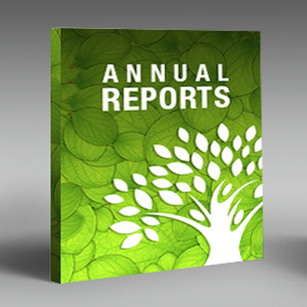 Online Soft Copy Annual Report Designing Service
