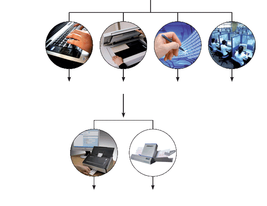 Report Preparation Services