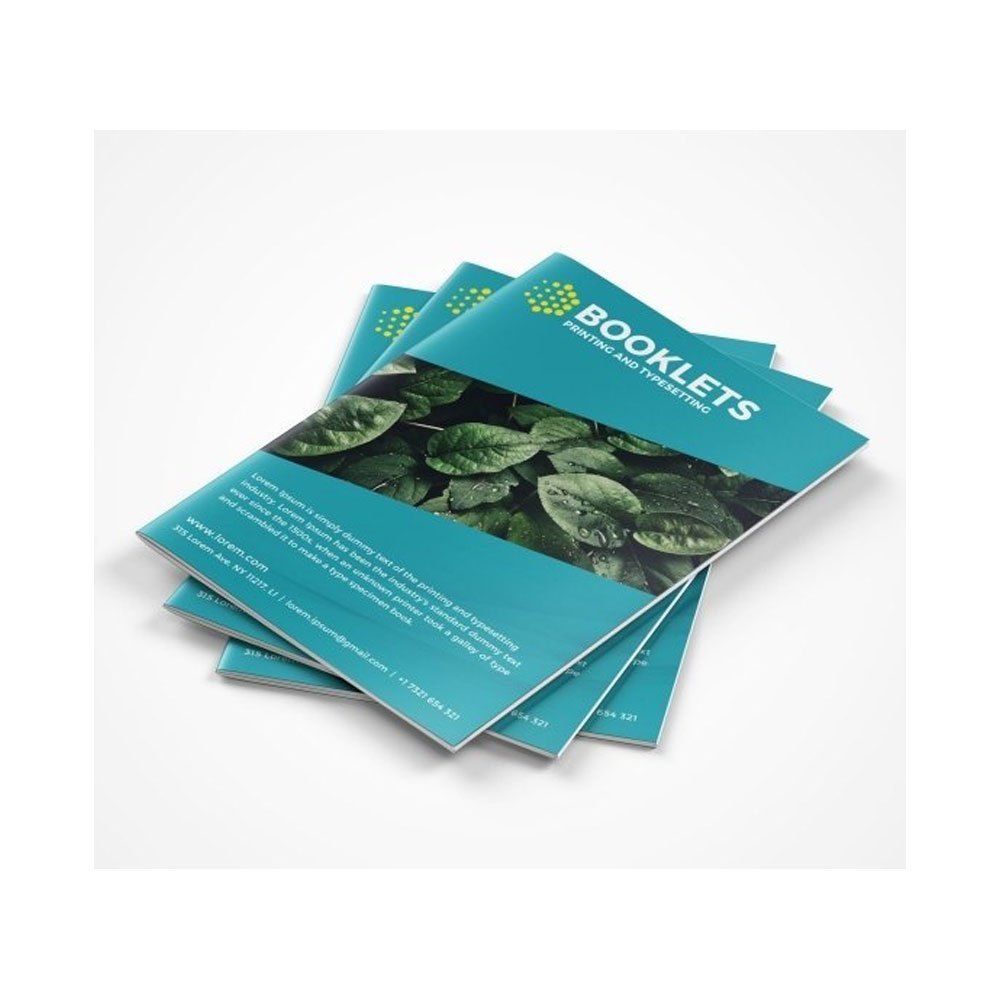 Vinyl Booklet Designing Printing Service