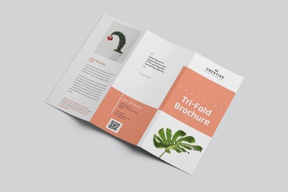3 Days Tri-Fold Brochure Design Service