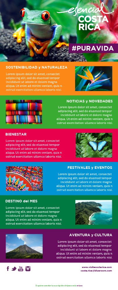 1 Day Newsletter Design Service