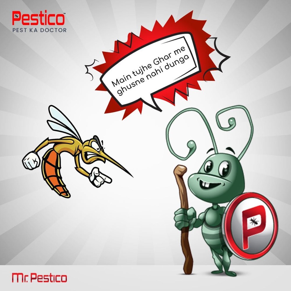 Commercial Pestico Mosquito Treatment
