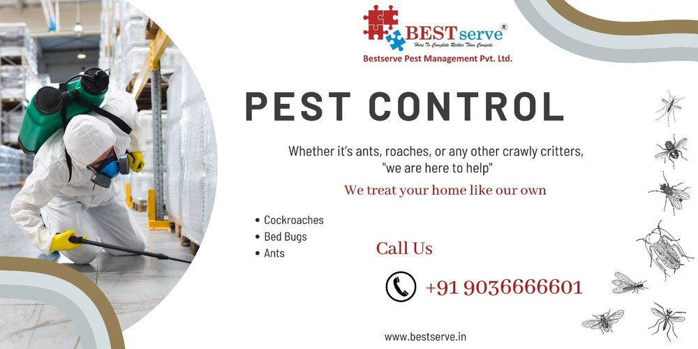 Monthly Home Residential Pest Control Service - Cockroach Service, in Bengaluru