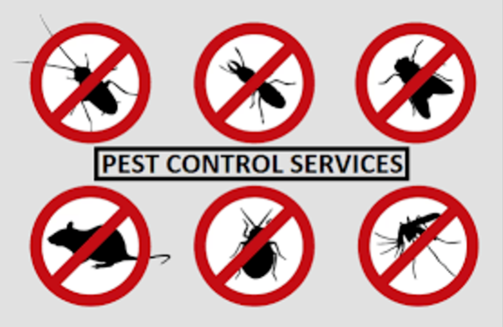 Commercial Spray Pest Control Service