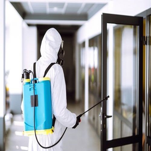 General Insect And Pest Control Service