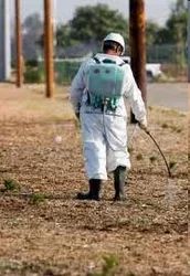 Natural Pest Control Services