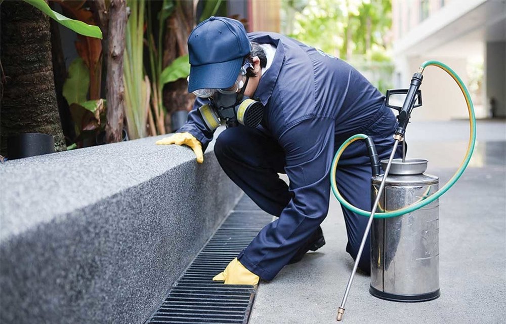 Spray Chemical based Pest Audit Control Service