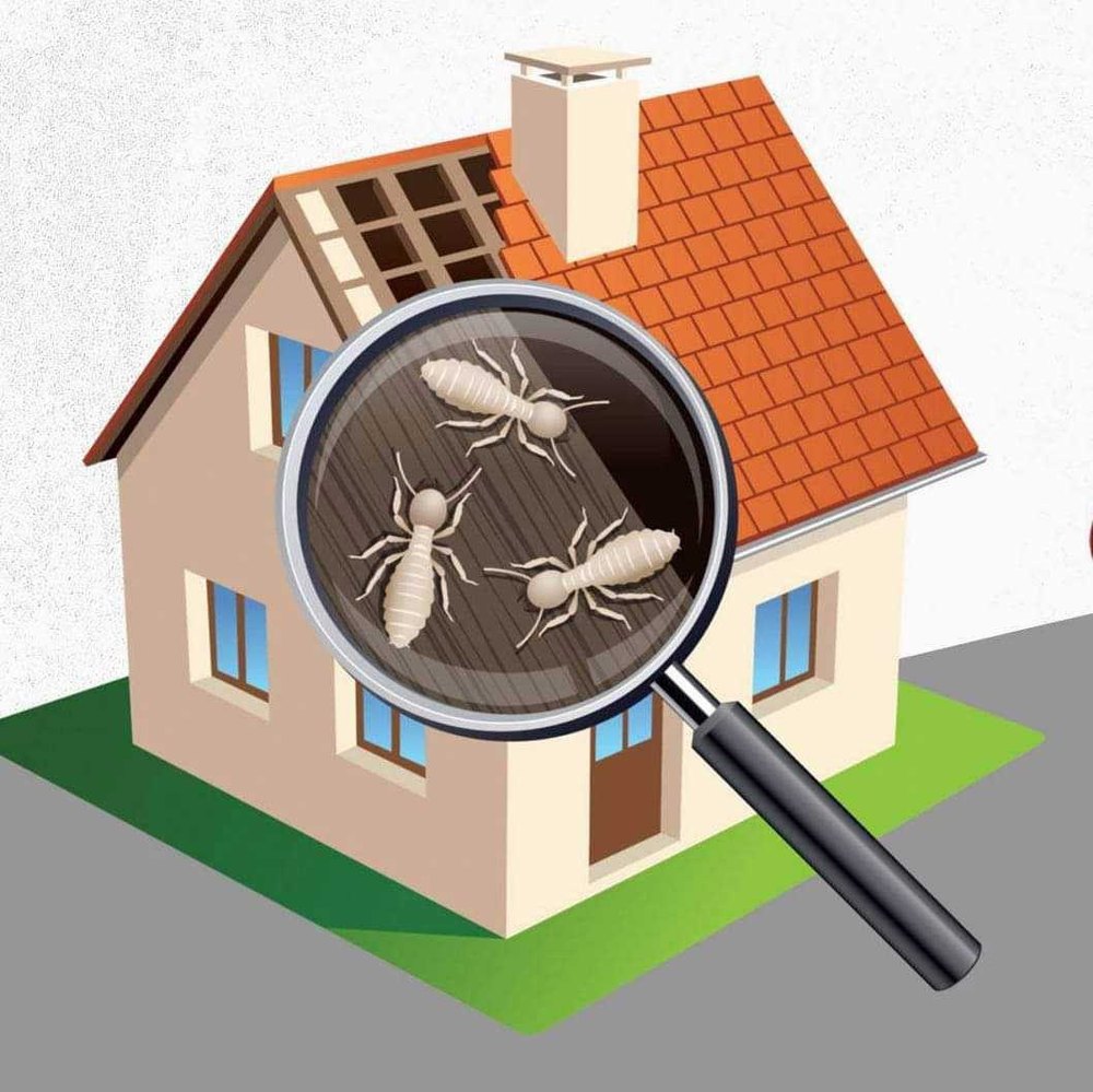 One Time Cockroach Termite Control Service, in Delhi
