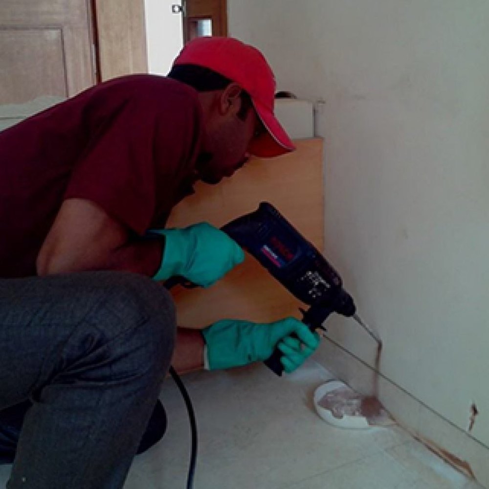 Yearly 5 Hours Premise Termite Pest Control Service, in Chennai