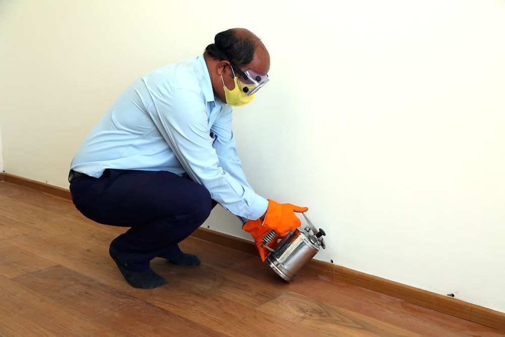 Monthly 5 Days Termite Pest Control Services