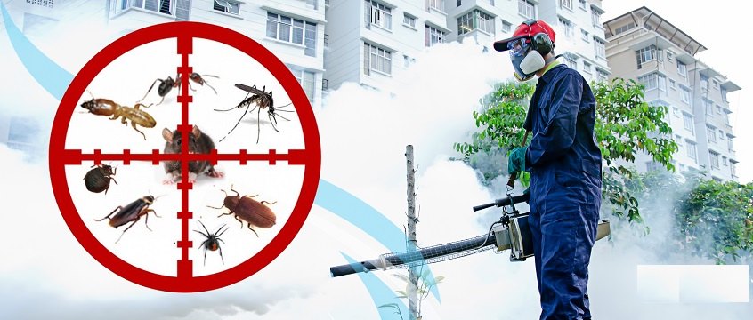 Chemical Based Pest Control Services