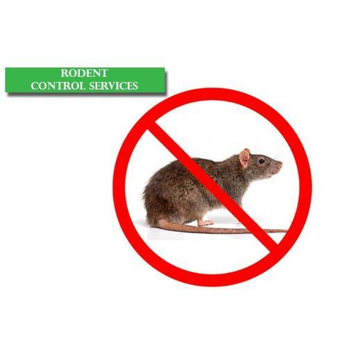 Monthly Commercial Rodent Control Services