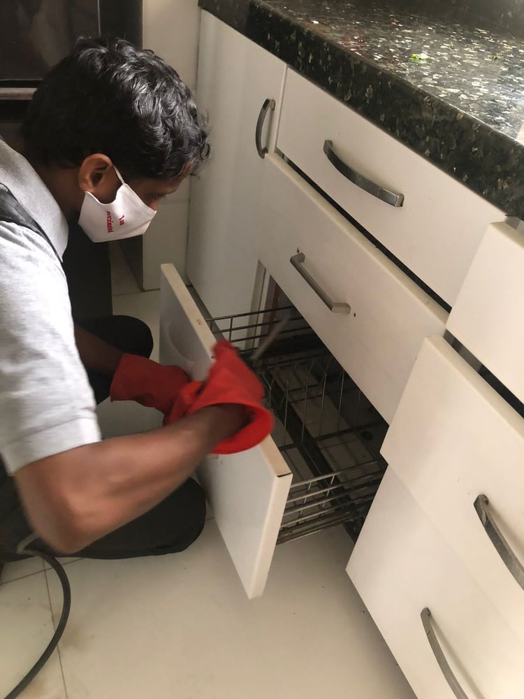 Rat Control Service
