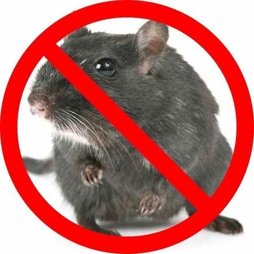 Offline Spray Rodent Pest Control Service, Rajasthan