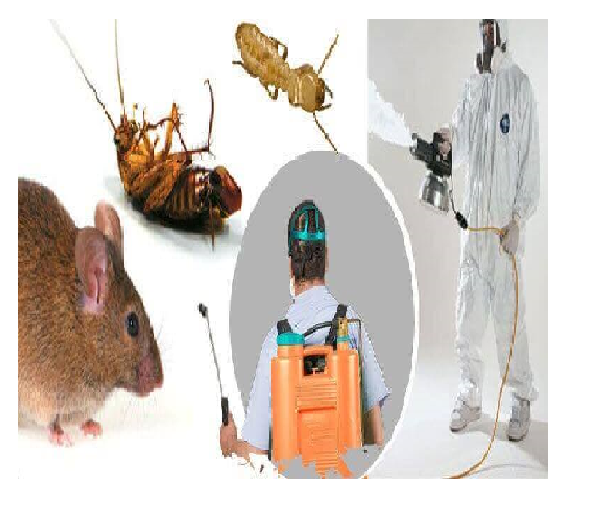 Residential and Commercial Chemical Treatment Rodent Control Services