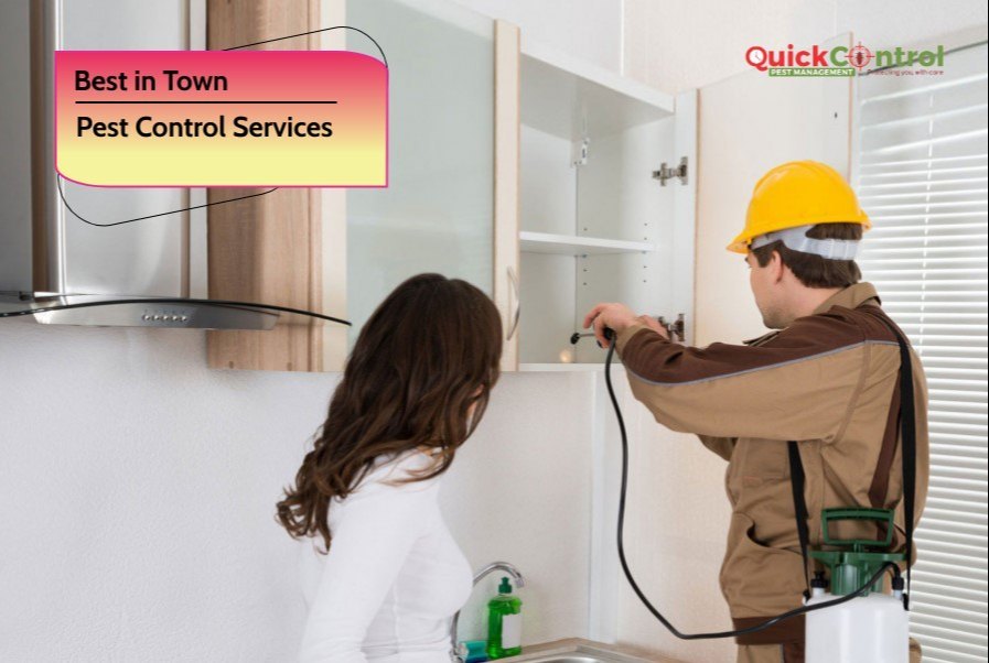 Commercial Chemical Treatment Pest Control Services For Home, in Bangalore