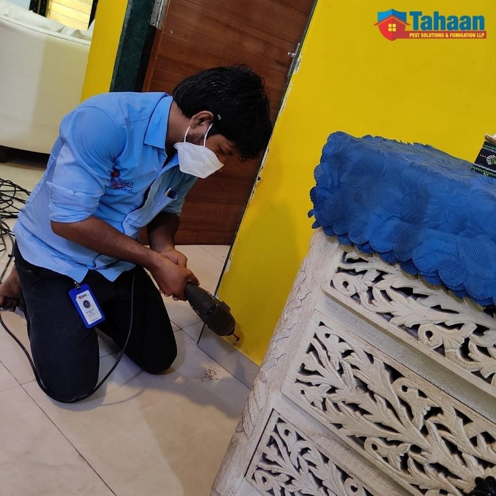 Pest Control Services For Home In Navi Mumbai