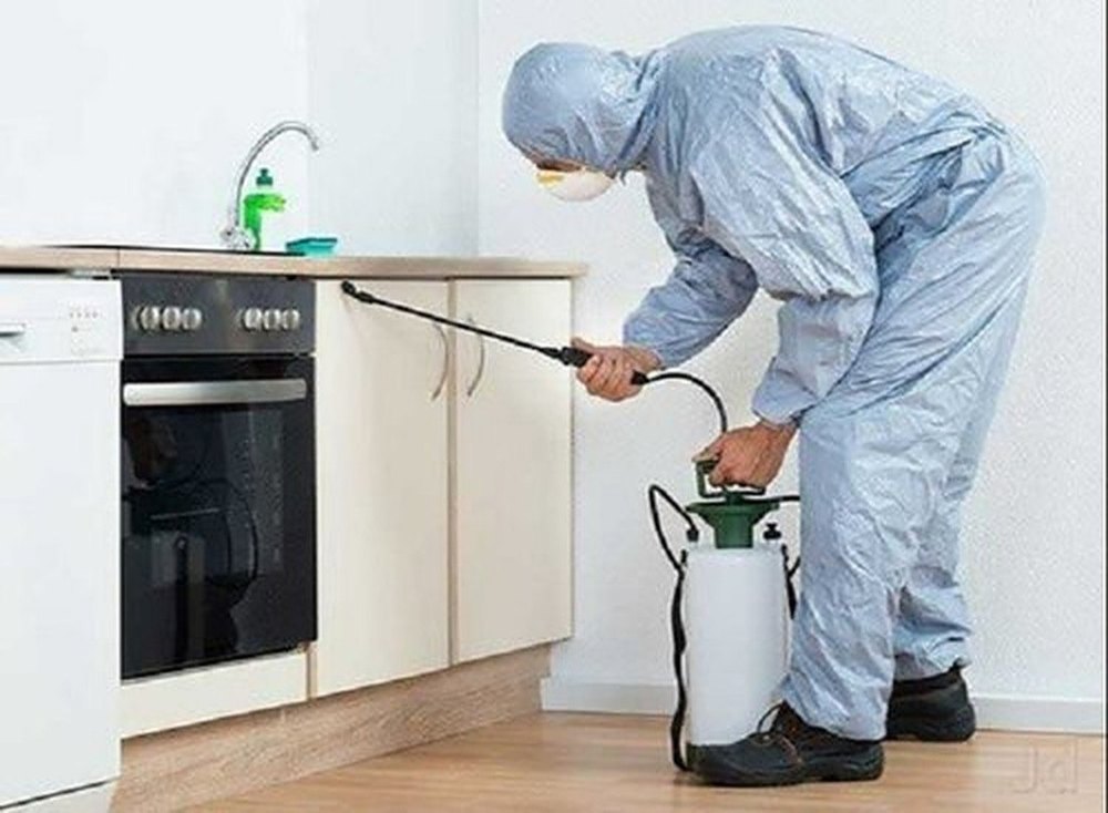 Rodent Spray Residential Pest Control Service