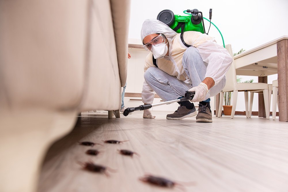 Commercial Spray Household Pest Control, in mumbai