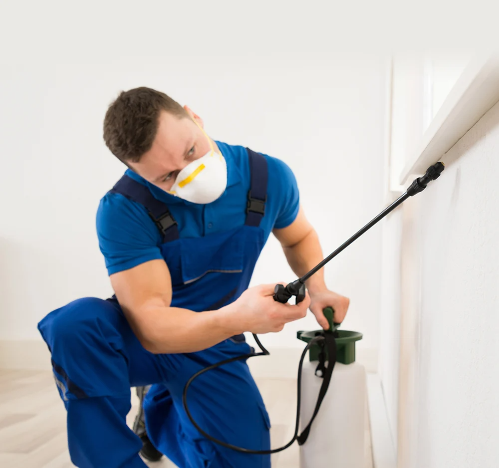 Residential Spray Household Pest Control Services, in Kanchipuram, Tamil Nadu