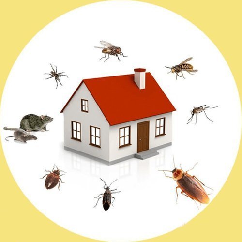 Home Spray Household Pest Control, in Delhi Ncr