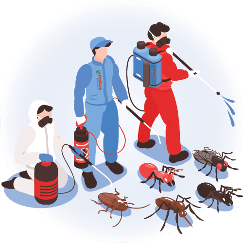 Commercial Spray Pest Control Services