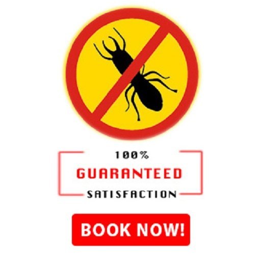 One Time Residential Termite Management Service, in Delhi