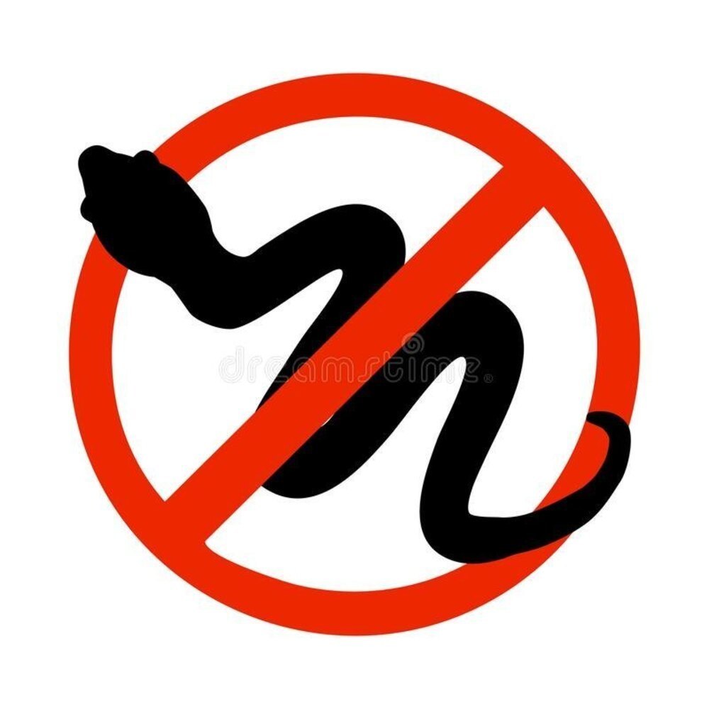 Snakes Pest Control Service