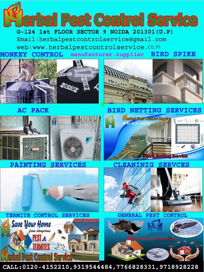 Snake Control Service