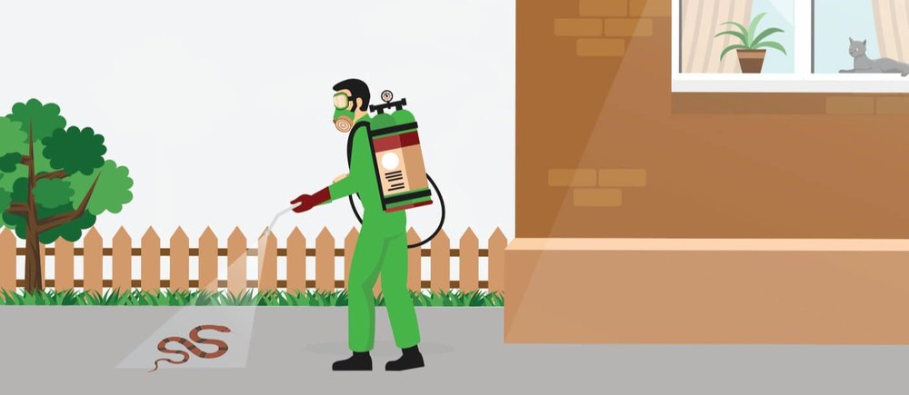 Snake Pest Control Service