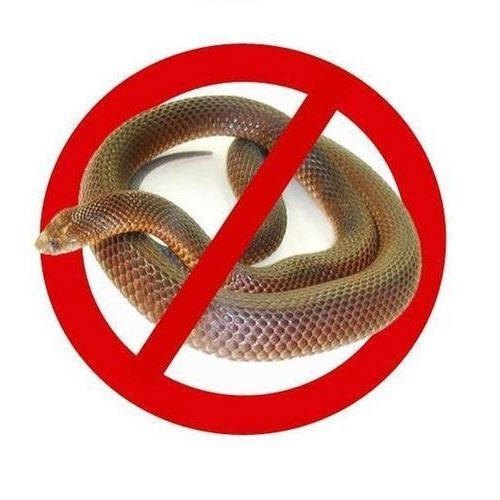 Snake Control Service