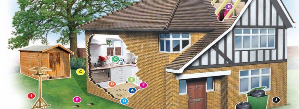 Home Spray Household Pest Control Service, in Delhi NCR