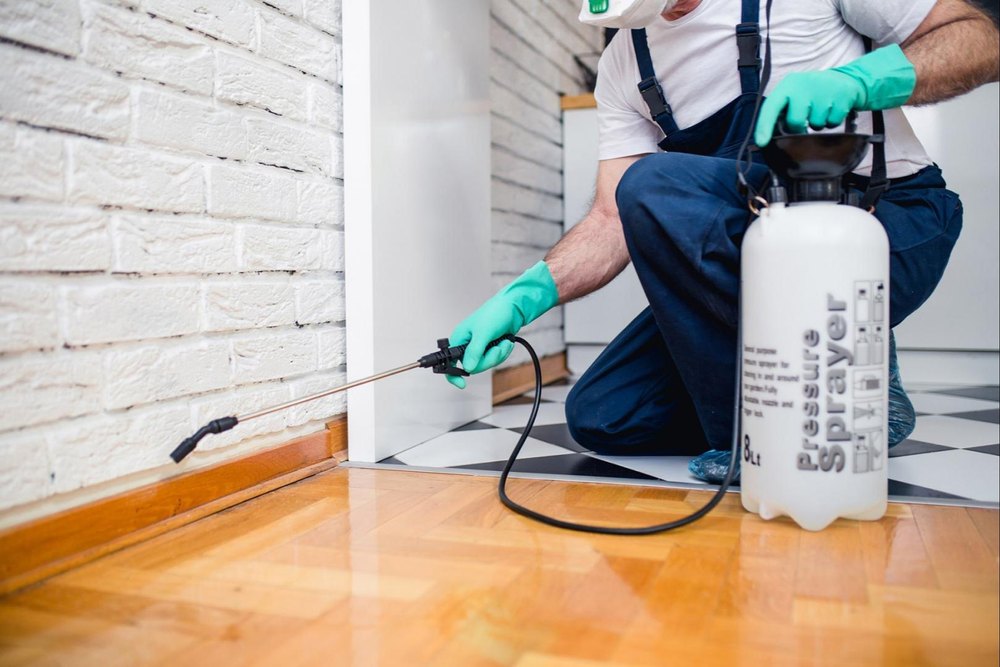 One Time Residential Pest Management, In Ahmedabad