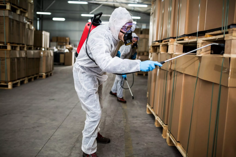 Monthly Commercial Pest Control Service, in Delhi