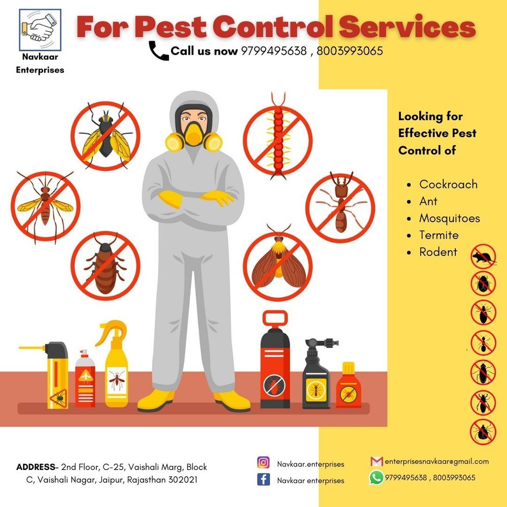 Commercial Pest Control Services