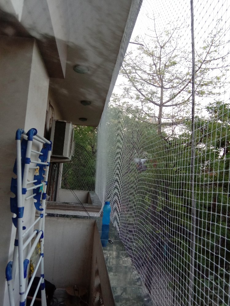 Balcony Bird Netting Service