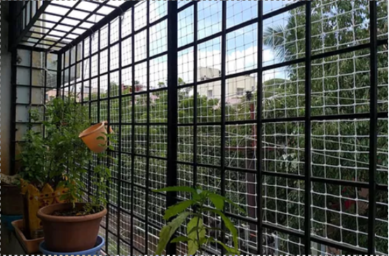 Offline Bird Netting Service