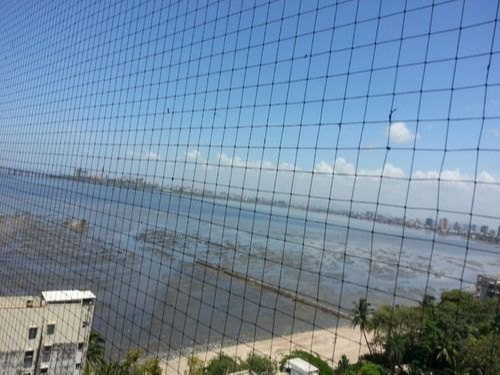 Nylon Bird Netting Service, India, Size: 10 X 30 Mtr