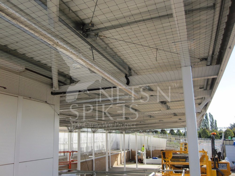Square Hdpe Anti Bird Netting Service
