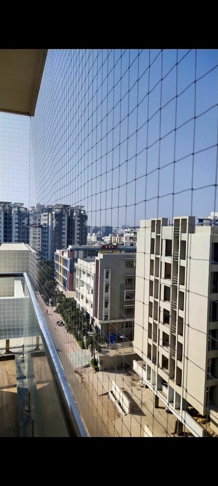 Transparent (White/Black/Blue) Polyethylene Bird Protection Net, Nearby Ahmedabad, Size: 50*50 mm/ 25*25 mm