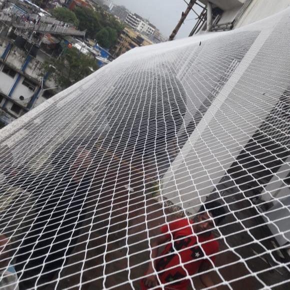 Offline Bird Netting Service