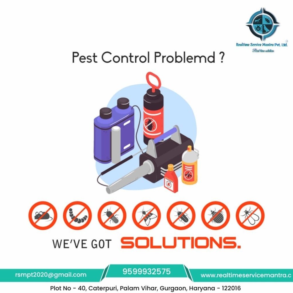 Bed Bugs Management Service