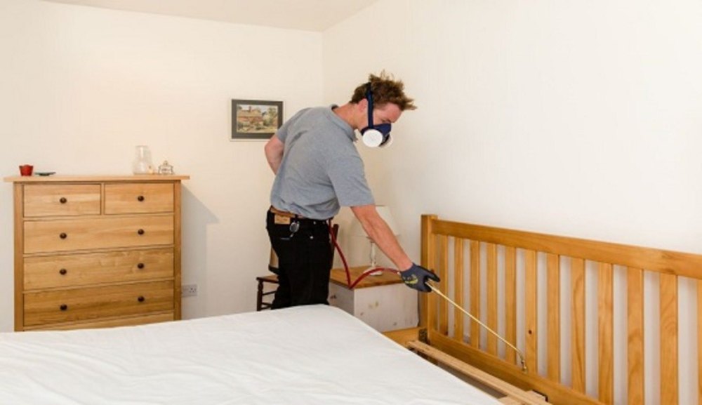 Bed Bug Pest Control Service