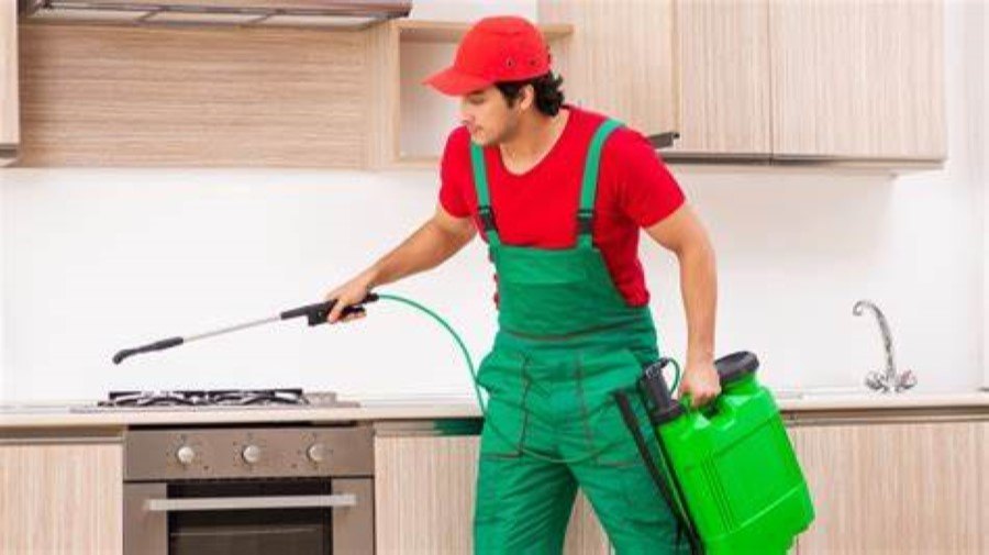 Big Bug Control Service