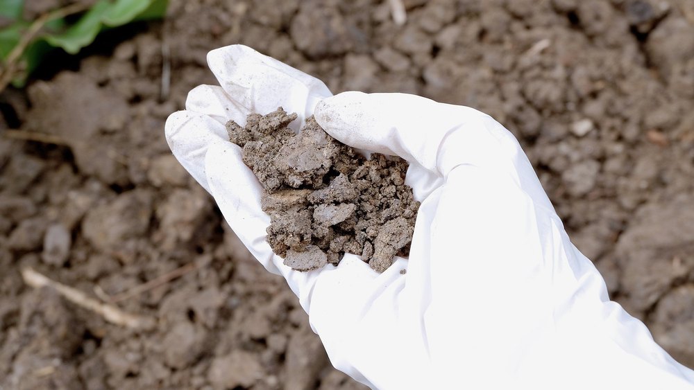 Home Chemical based Anti Termite Soil Treatment Services