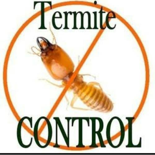Yearly Commercial Termite Pest Control Service, In Mumbai